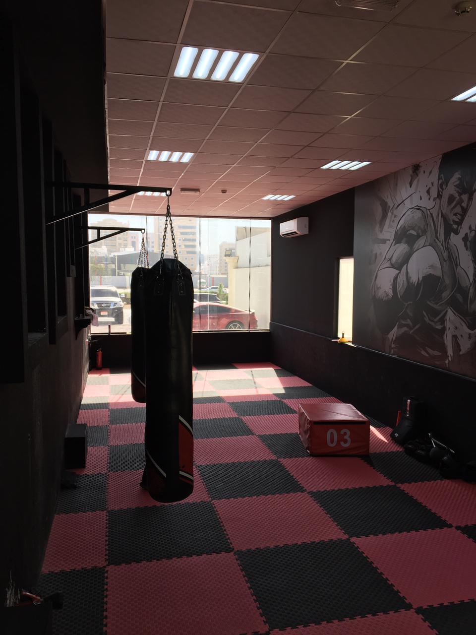 MMA Area