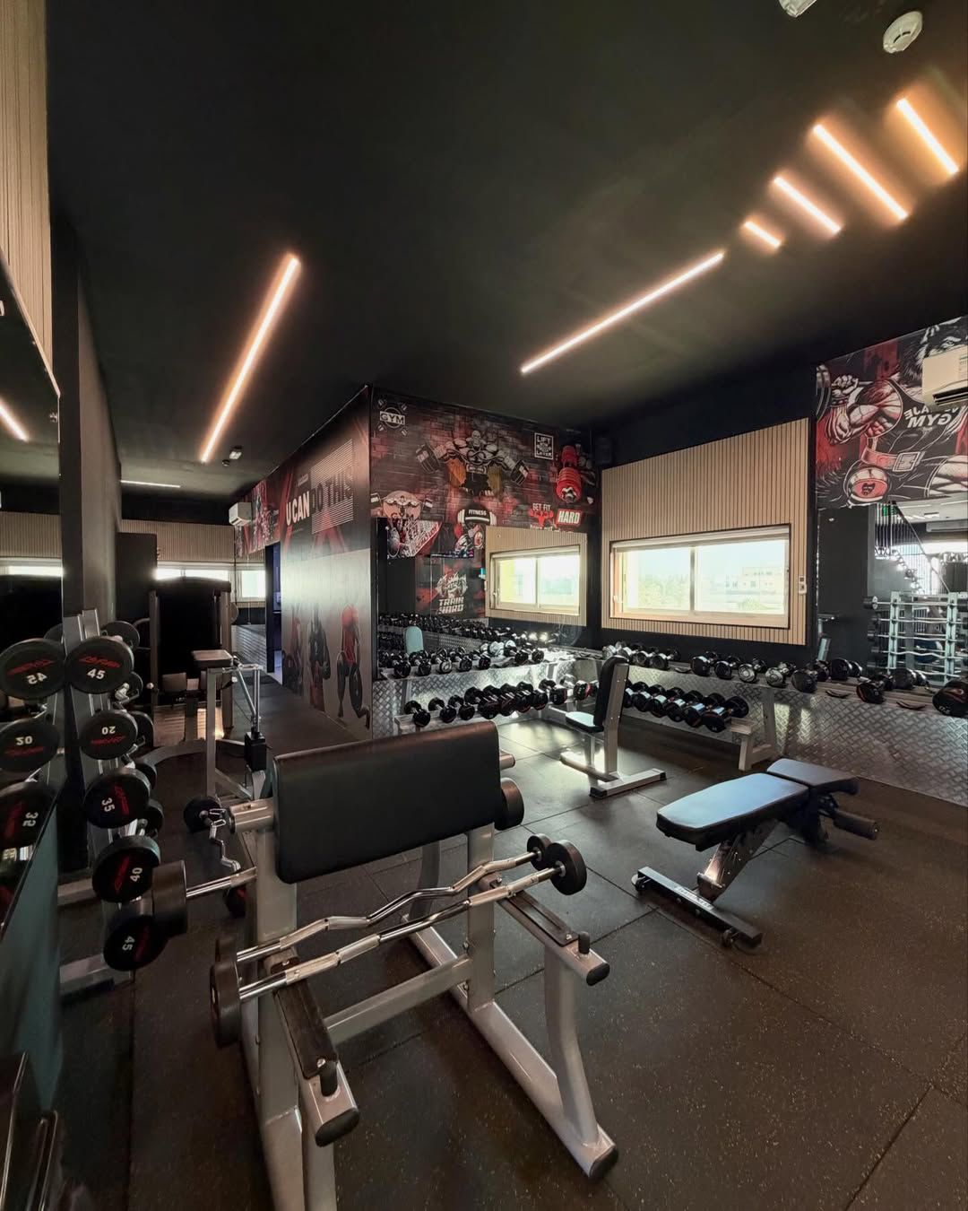 Weights Area
